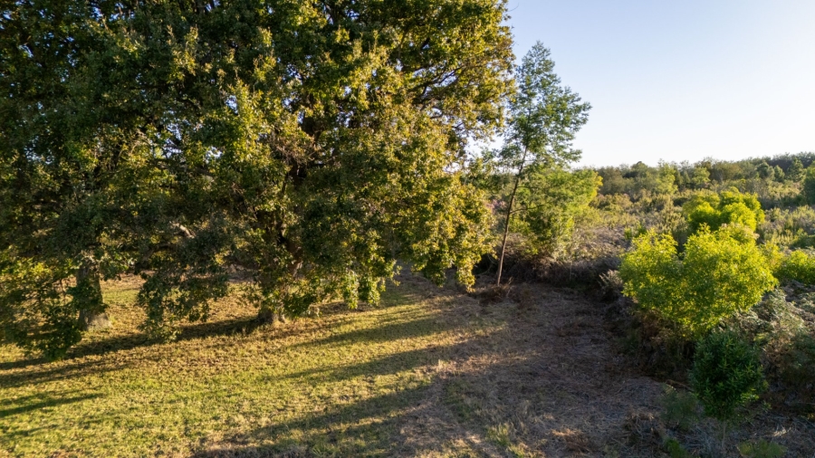  Bedroom Property for Sale in Natures Valley Western Cape